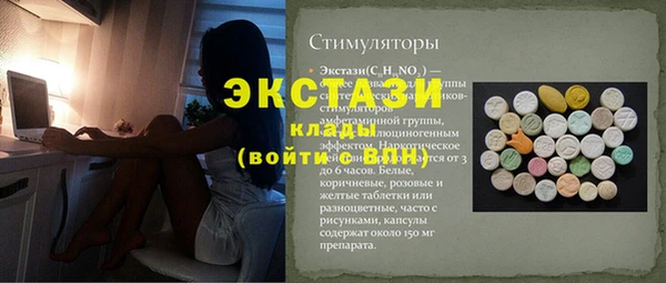 мдпв Ельня