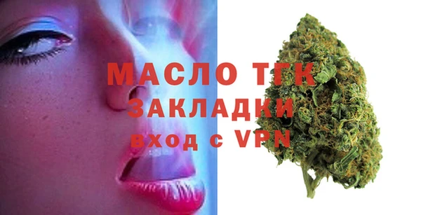 мдпв Ельня