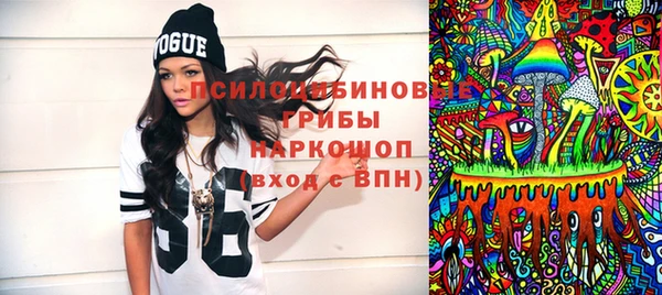 мдпв Ельня