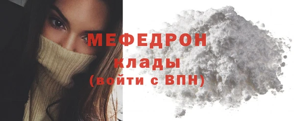 мдпв Ельня