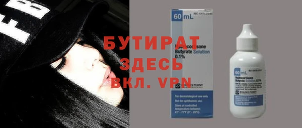мдпв Ельня
