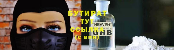 мдпв Ельня