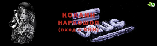 мдпв Ельня