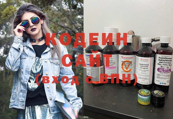 мдпв Ельня