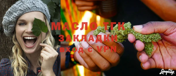 мдпв Ельня