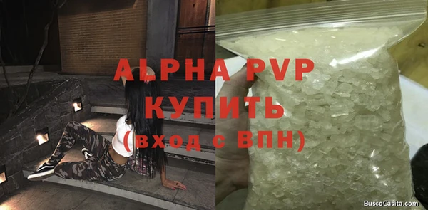 мдпв Ельня