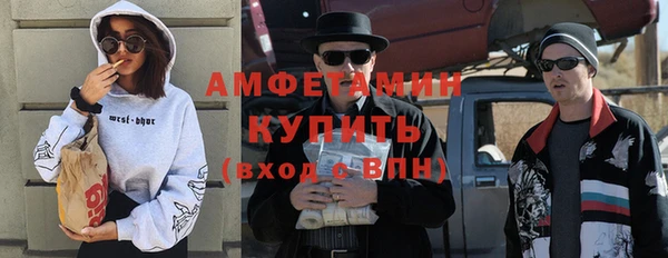 мдпв Ельня